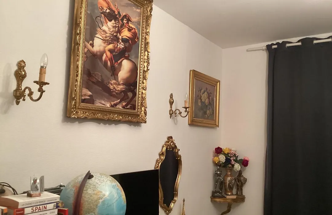 Chambre chez le habitant 282 rue Lecourbe 75015-1